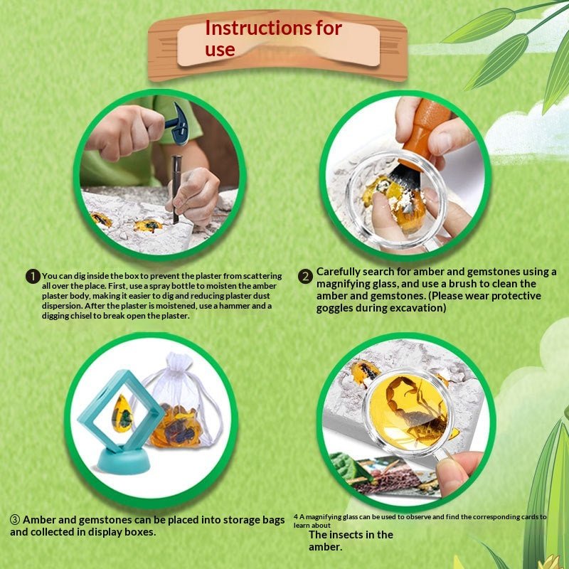Step-by-step instructions showing how to dig, brush, and display insect amber specimens