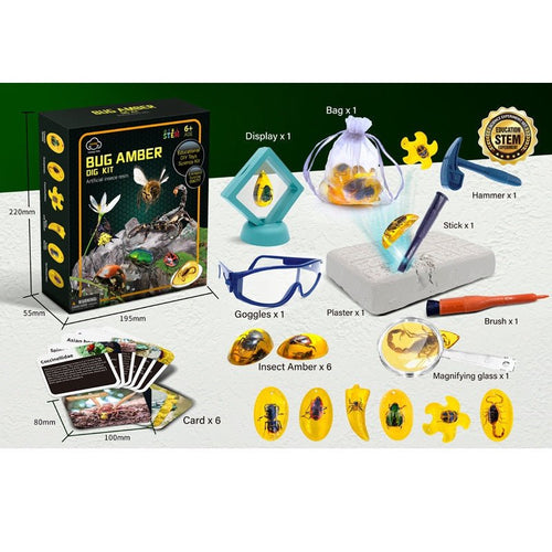 Bug Amber Dig Kit contents – includes goggles, hammer, brush, magnifying glass, 6 insect ambers and science cards